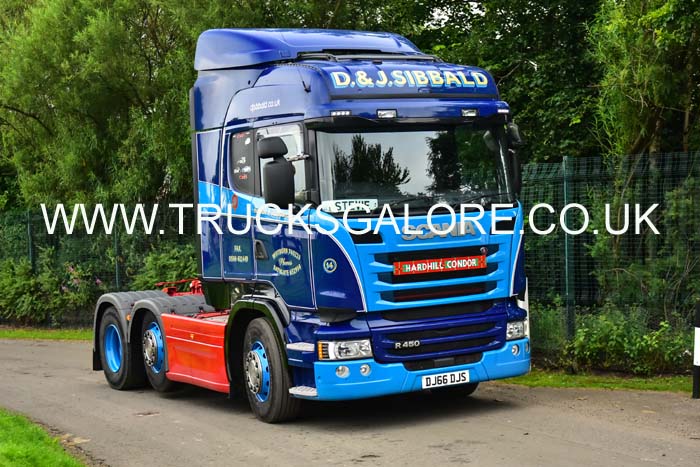 SIBBALD DJ66 DJS 19ed1316