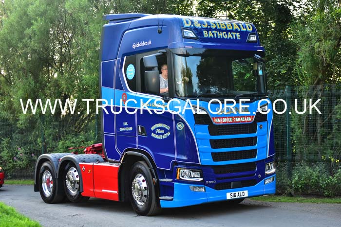 SIBBALD S16 ALD 19ed1190