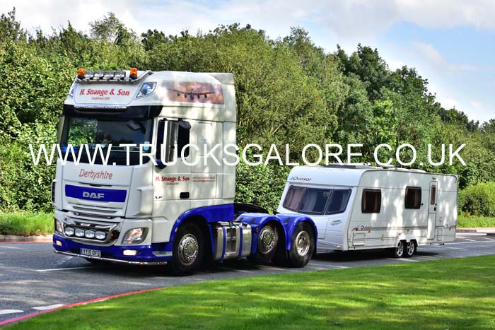 STRANGE YY15 OFO 19cv0230