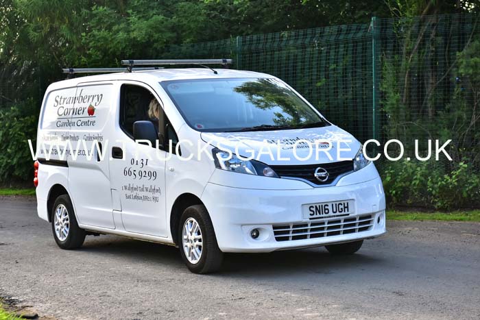 STRAWBERRY SN16 UGH 19ed1014