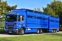 SANDIFORD T555 EWE 19sm0246