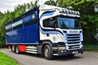 STEWART J30 RWS 19ed0749