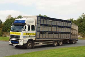 ARLINGTON LIVESTOCK WX50 BSV
