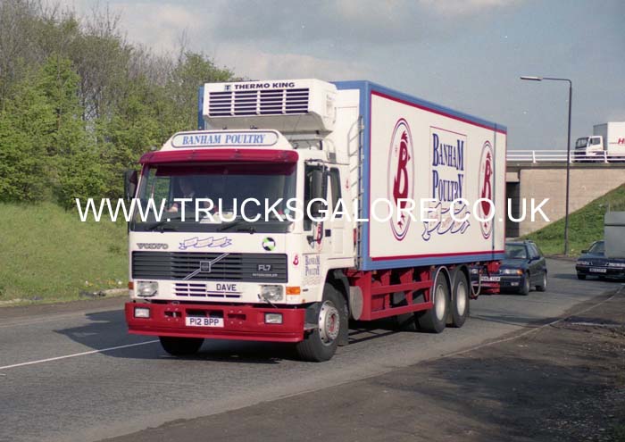 BANHAM POULTRY P12 BPP