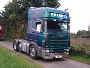 BRINDLE D8 MEN