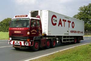 CATTO B894 MRS (1)