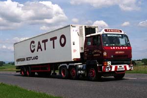 CATTO B894 MRS (2)