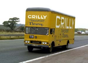 CRILLY HIJ 2932