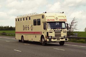 DFS (HORSES) G114 VKX
