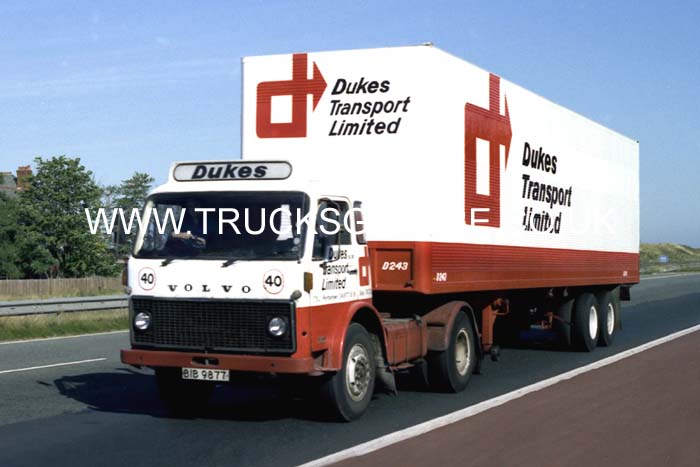 DUKES BIB 9877