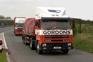 GORDONS L11 NSG