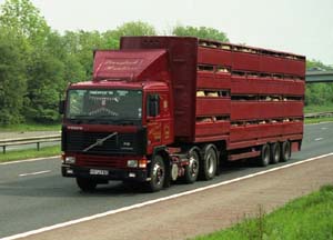 LIVESTOCK K572 FAO