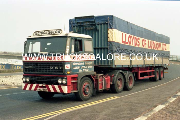 LLOYDS (LUDLOW) A833 ANT