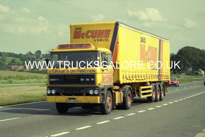 McCUNE, DAVID B331 HAU