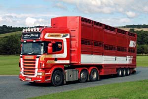 McCURDY, WILSON BRZ 5150