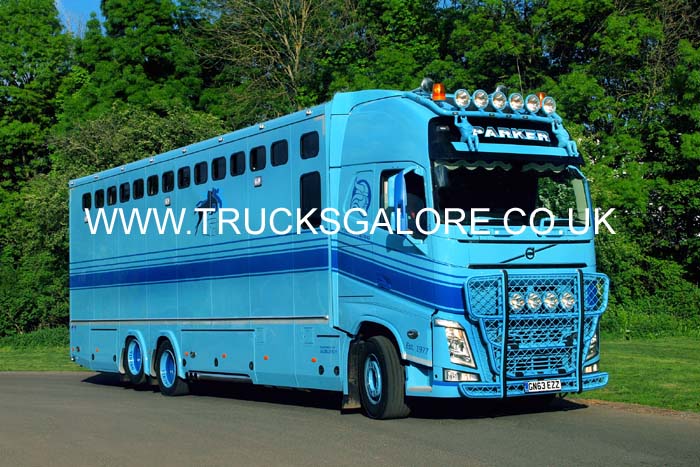 PARKER HORSE GN63 EZZ