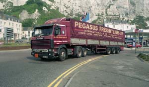 PEGASUS F255 YEX