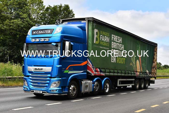 SALTER MC, OU19 YGY (23-0088)