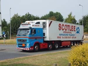 SCOTLEE SIL 46