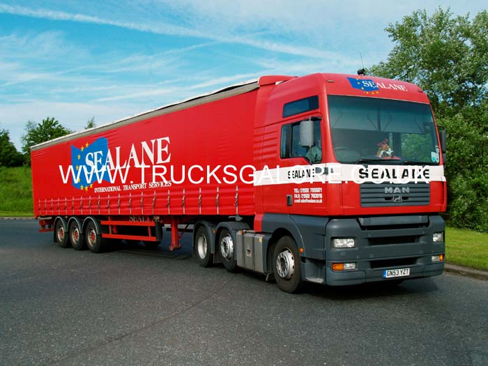 SEALANE GN53 YZT