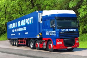 SHETLAND SV60 EFN