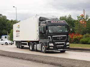 WALTON 08 KK 4119