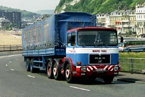 WHITE TRUX B953 AGJ