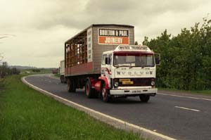 WHITES TRANSPORT A38 GVU